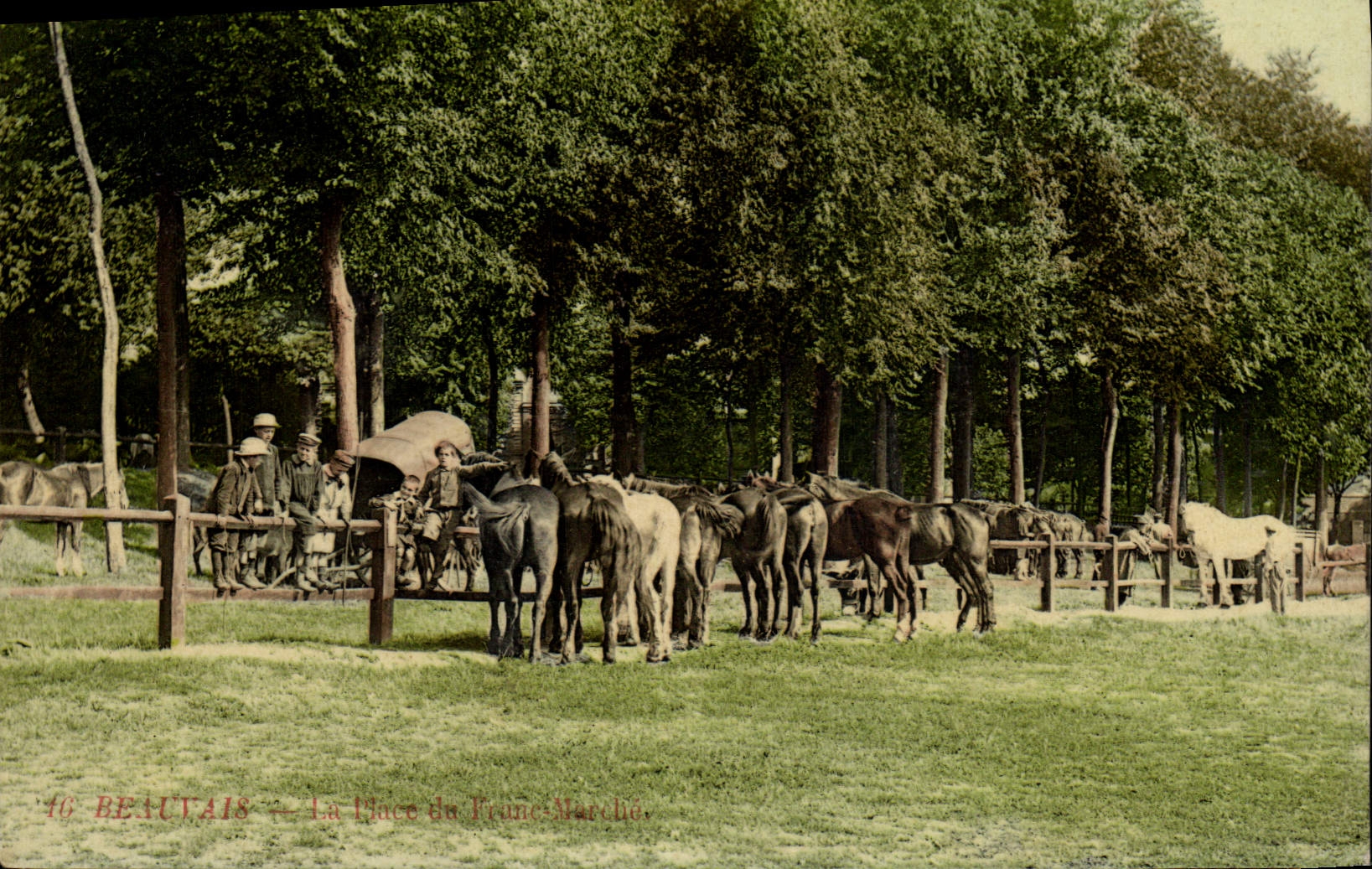 Postal Caballo Hípica Equitación Beauvais el Lugar del Franco Marcha