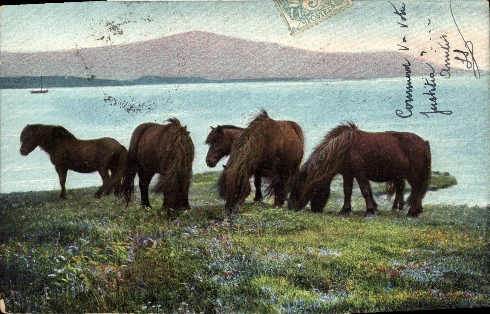 CPA Cheval Hippisme Equitation 