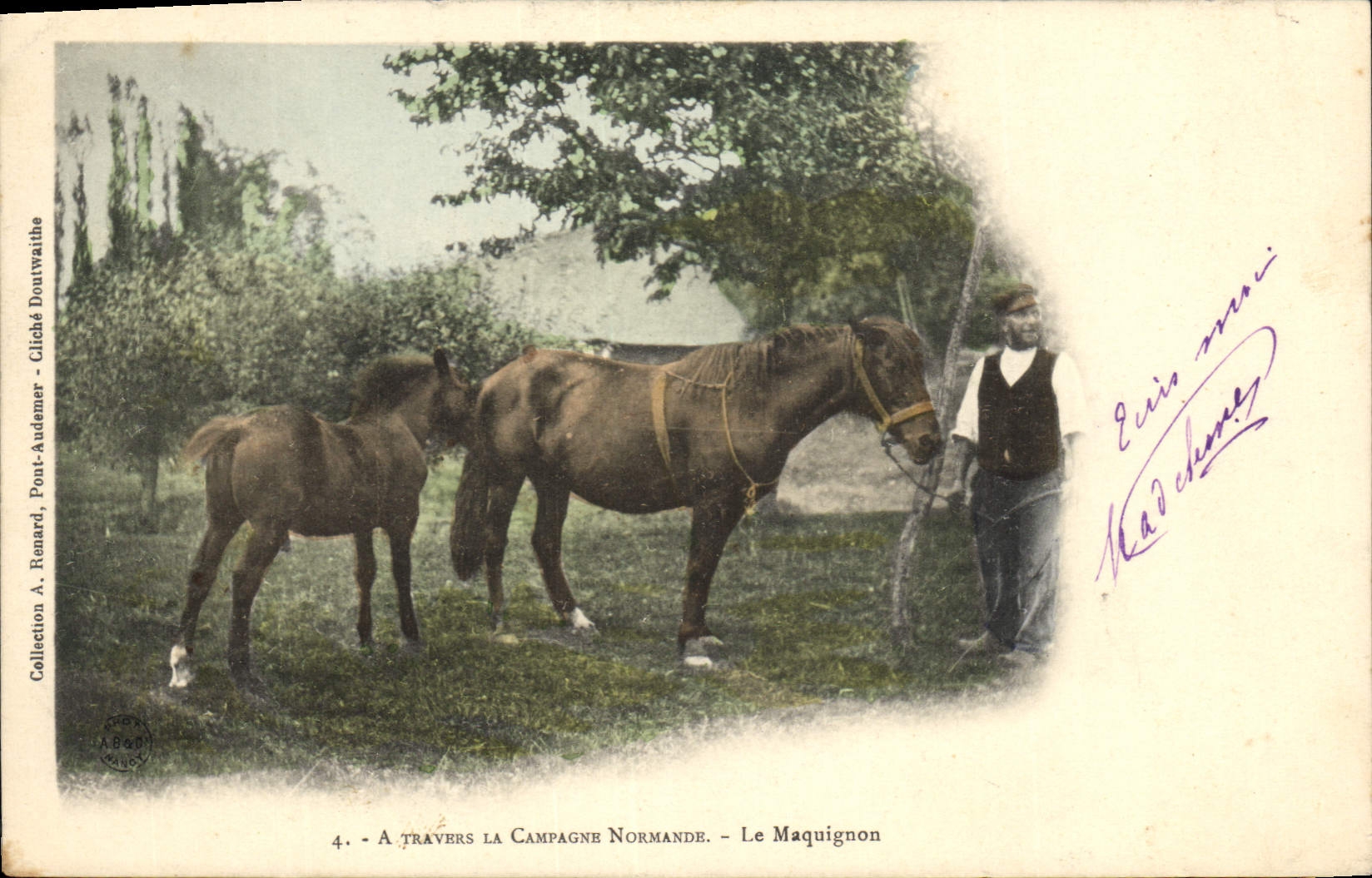 Postal Caballo Hípica Equitación a través de la campaña Normanda el Chalán