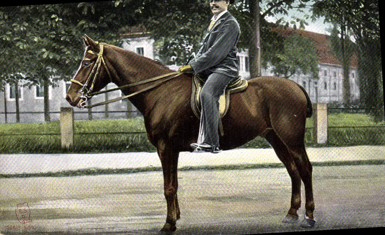 CPA Cheval Hippisme Equitation 