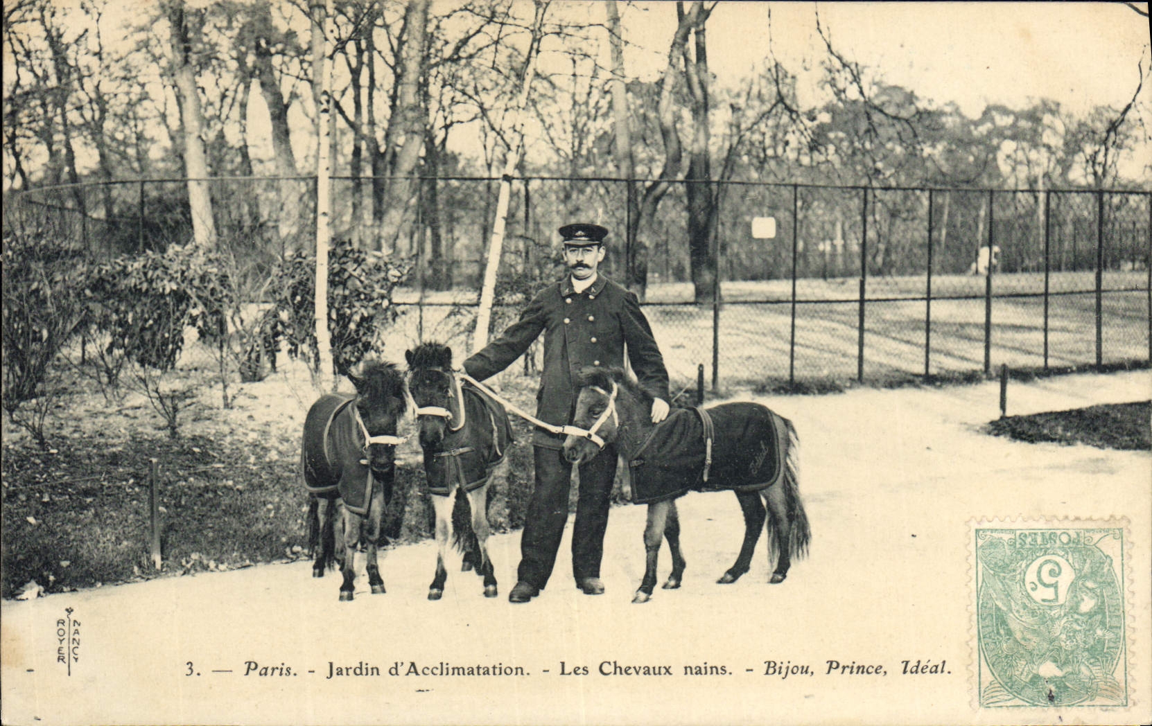 CPA Cheval Hippisme Equitation Paris Jardin d'acclimatation Les chevaux nains Bijou Prince Ideal TOP
