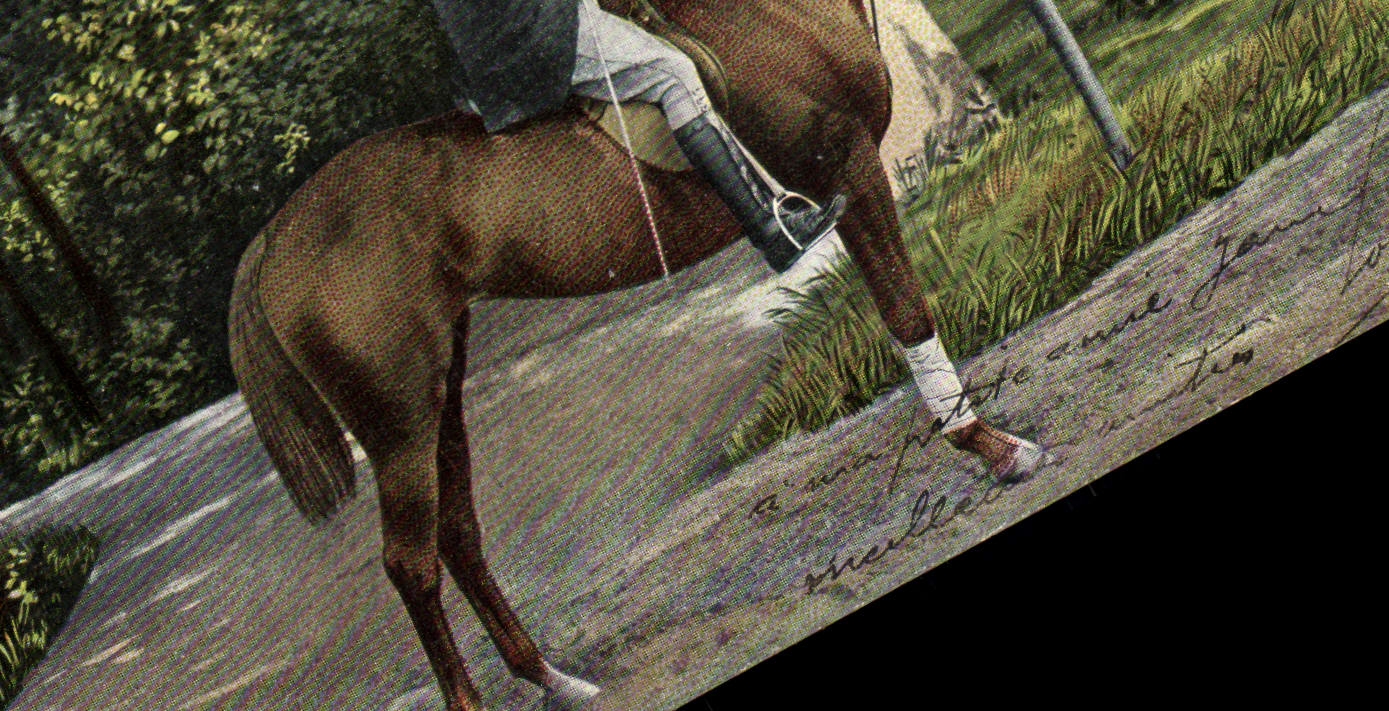 CPA Cheval Hippisme Equitation 