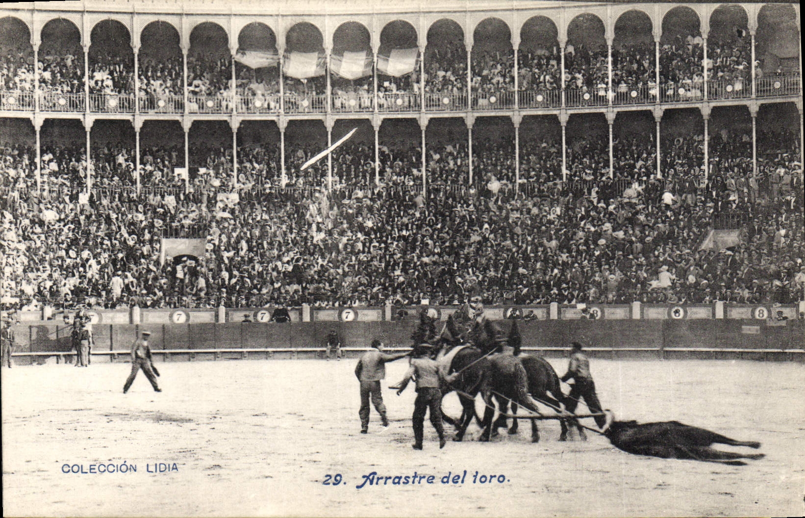 CPA Corrida Course de taureaux Arrastre del toro