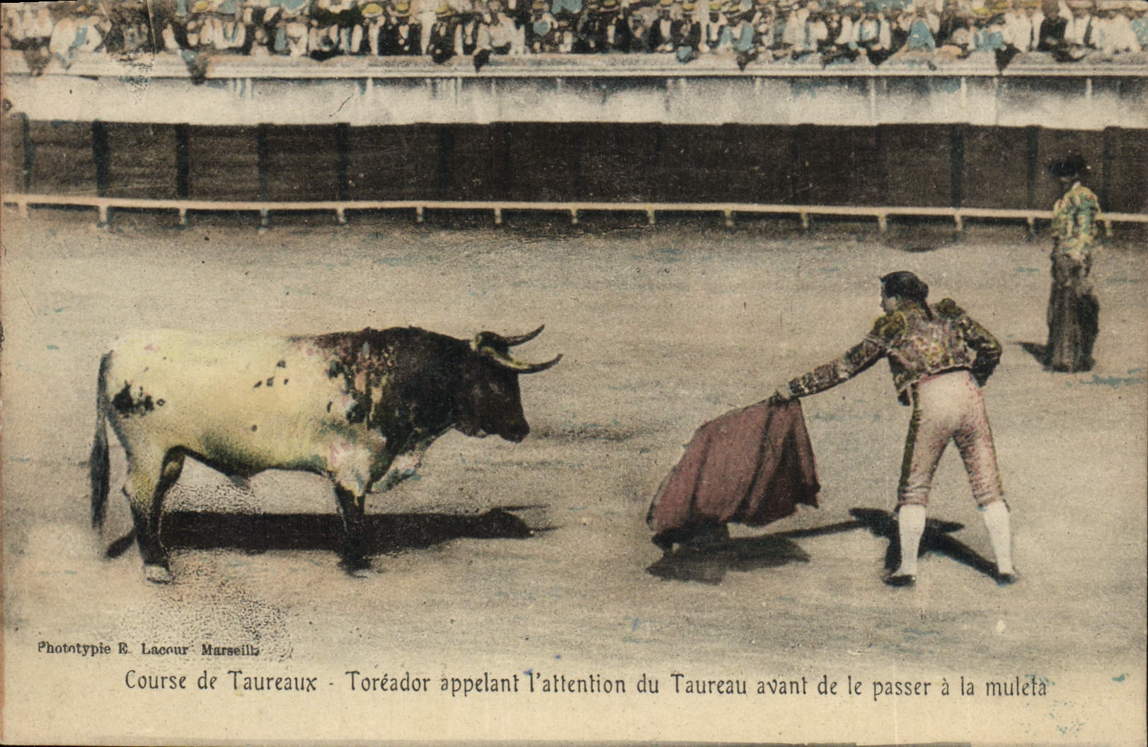 CPA Corrida Course de taureaux Toreador appelant l'attention du taureau avant de le passer a la muleta 
