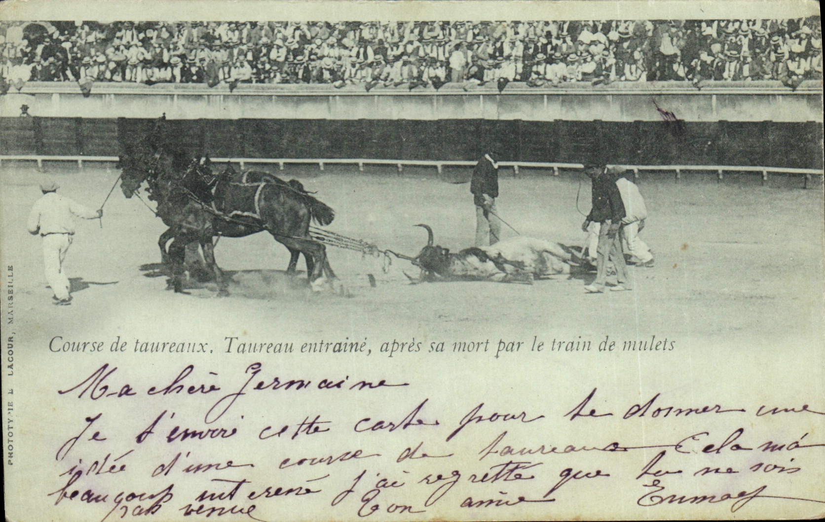 CPA Corrida Course de taureaux Taureau entraine apres sa mort par le train de mulets 