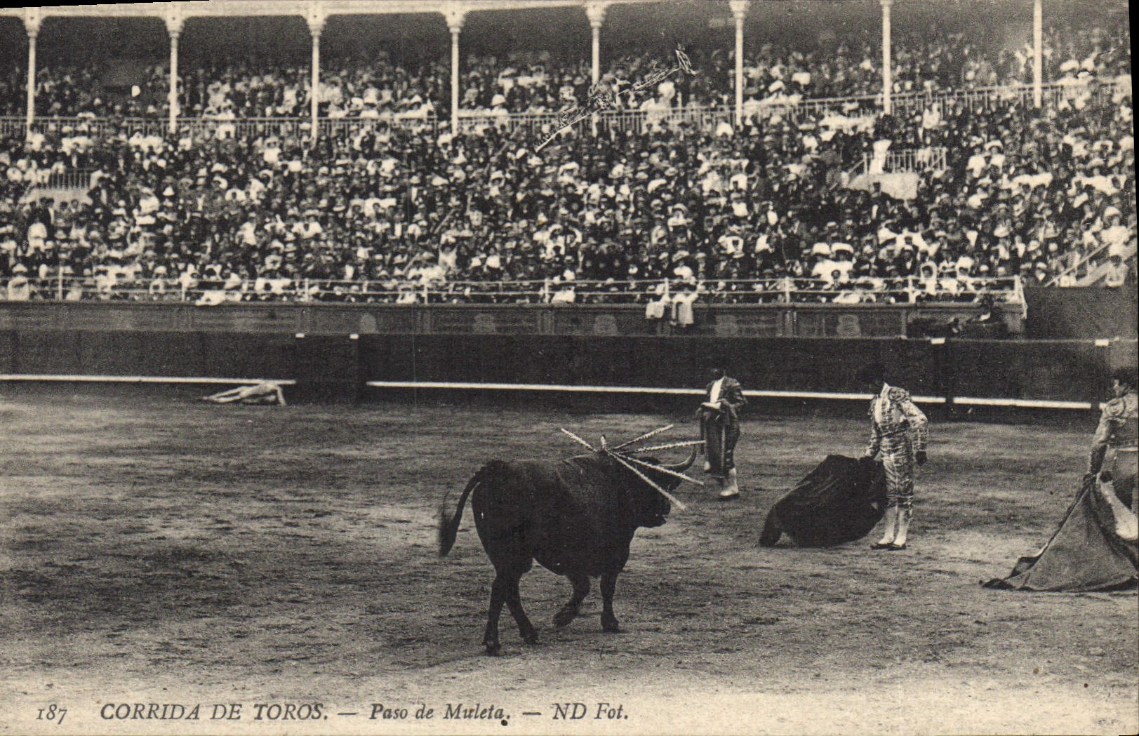 Postal Corrida Curso de toros Paseo de muleta