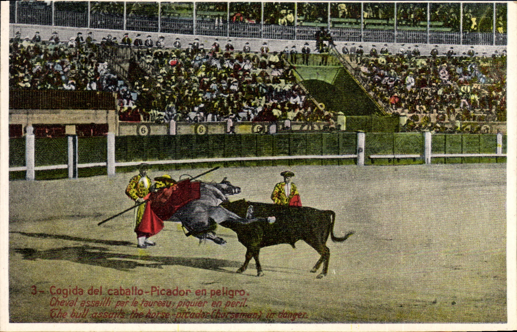 CPA Corrida Course de taureaux 