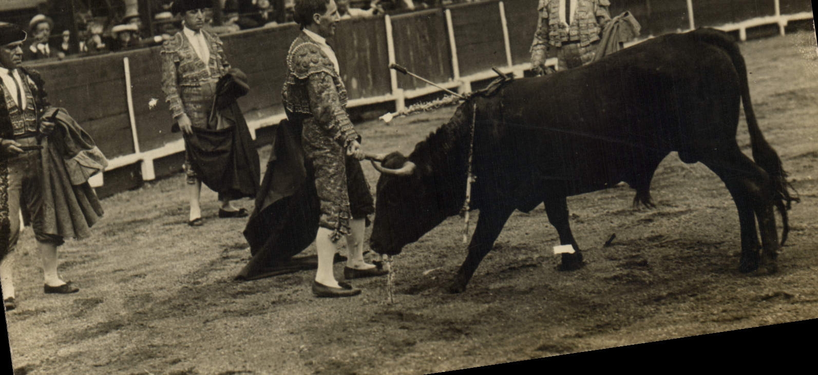 CARTE PHOTO Corrida Course de taureaux 
