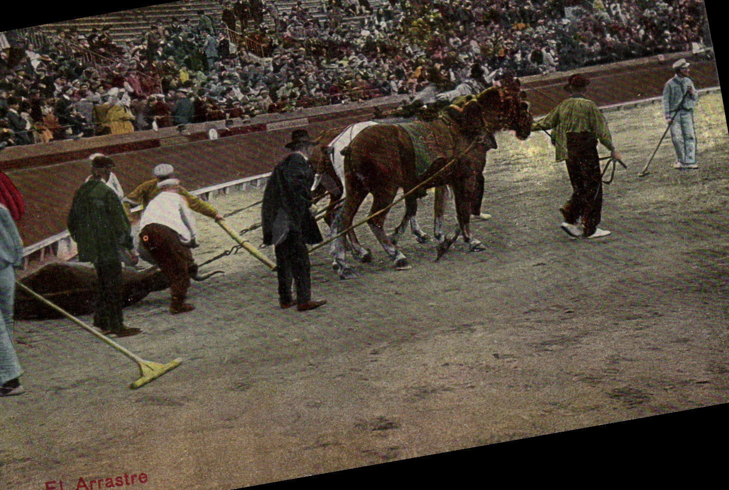 CPA Corrida Course de taureaux El Arrastre 
