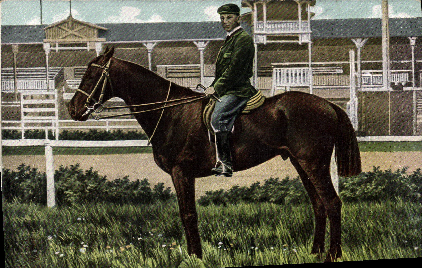 CPA Cheval Equitation Hippisme 