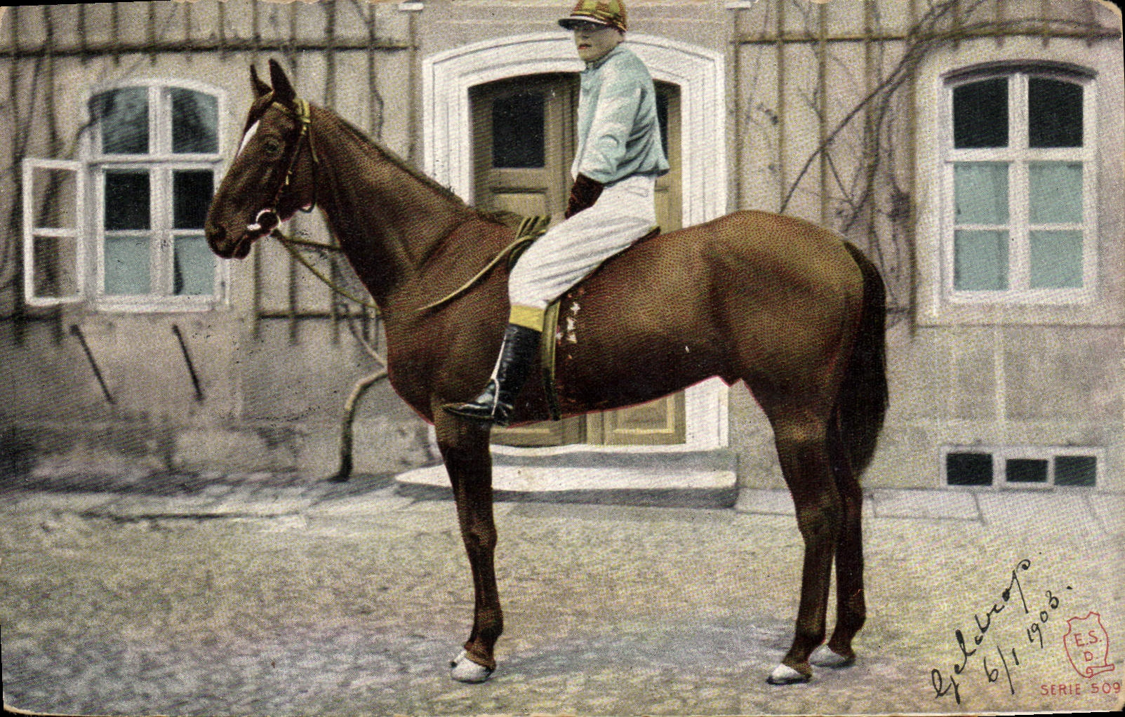 CPA Cheval Equitation Hippisme 