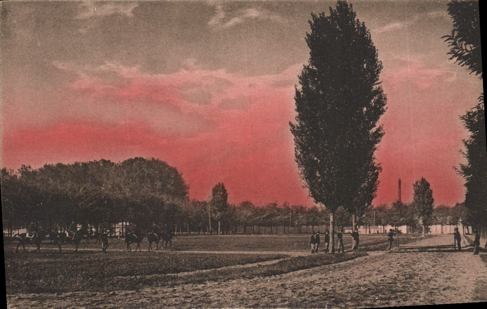 CPA Cheval Equitation Hippisme 