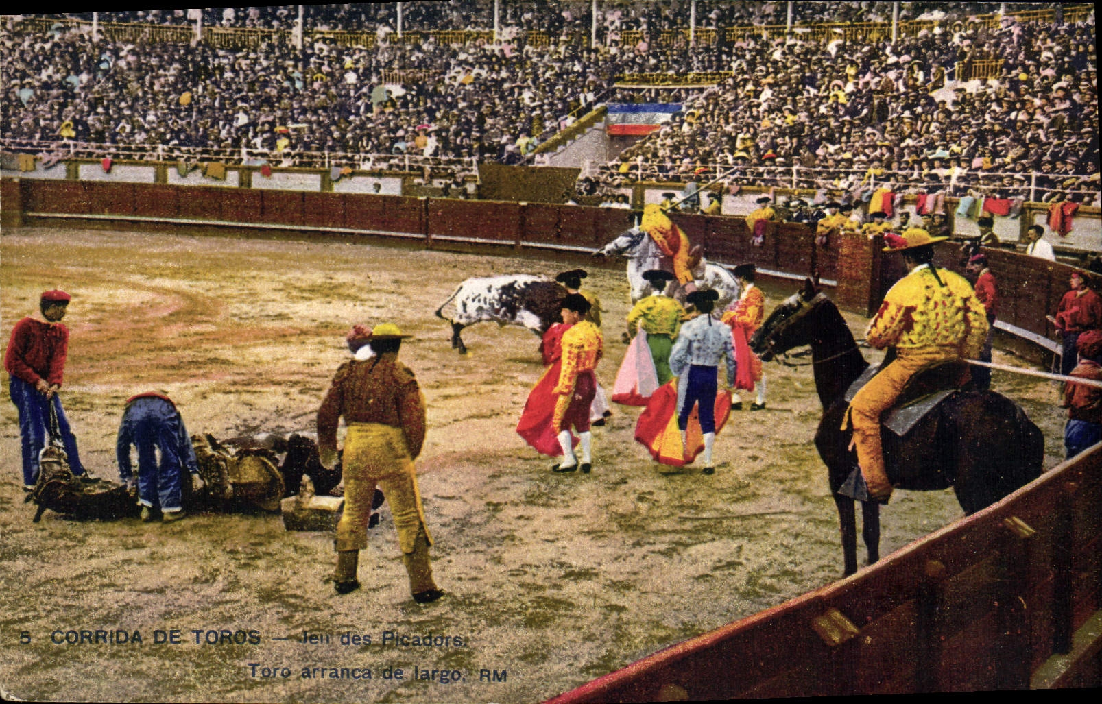 CPA Corrida Course de taureaux 