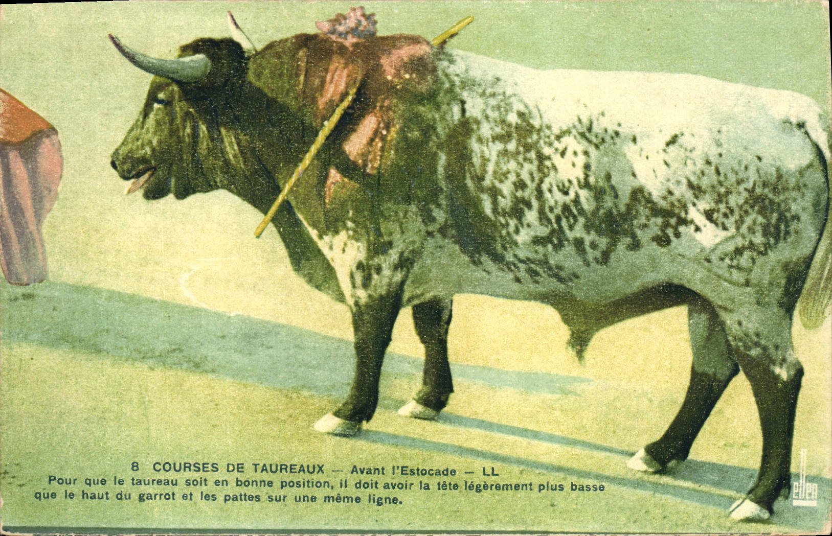 CPA Corrida Course de taureaux Avant l'estocade