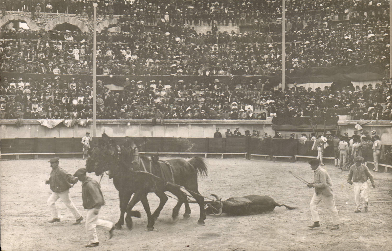 TARJETA FOTA Corrida Corrida de toros EL arrastre