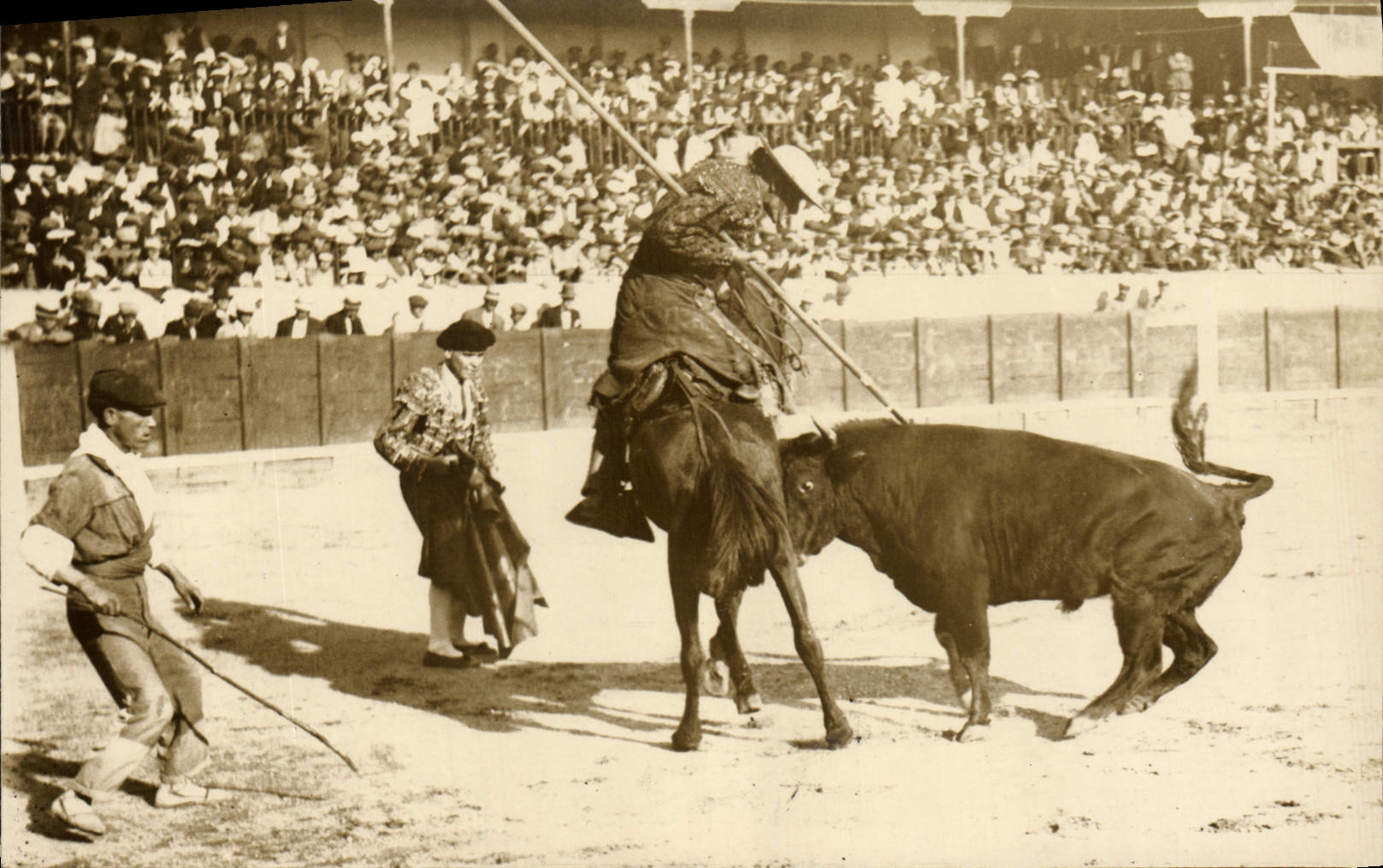 CARTE PHOTO Corrida Course de taureaux