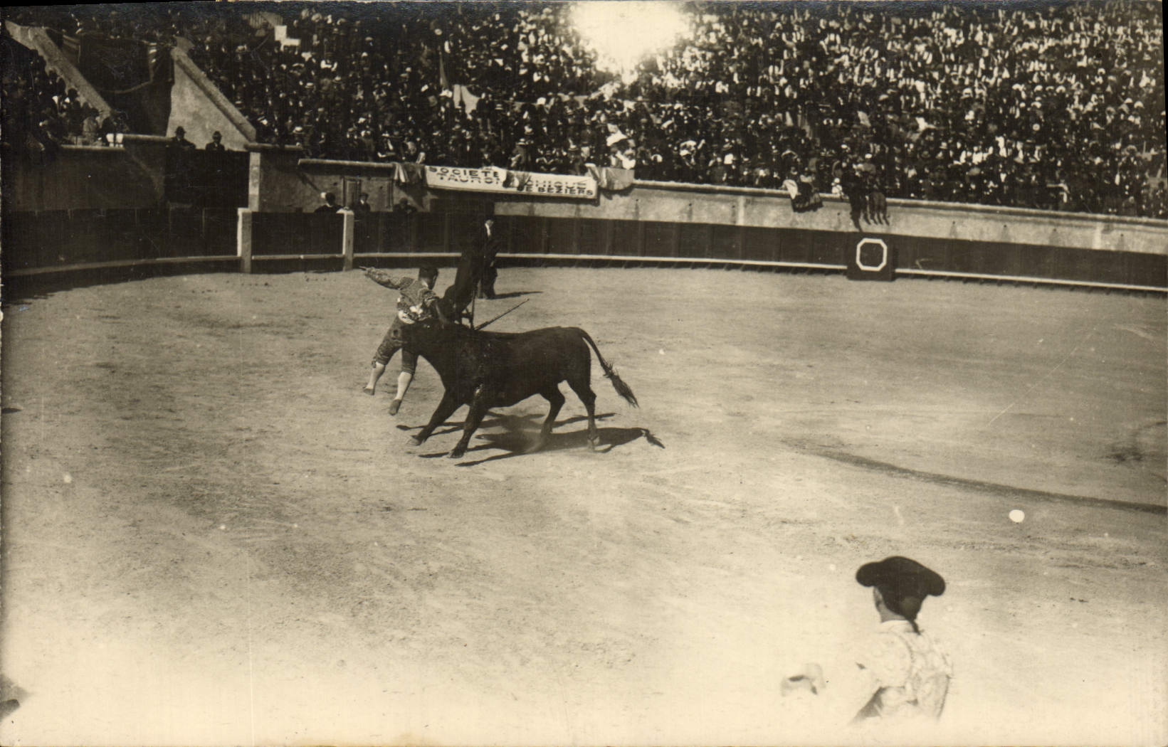 CARTE PHOTO Corrida Course de taureaux 