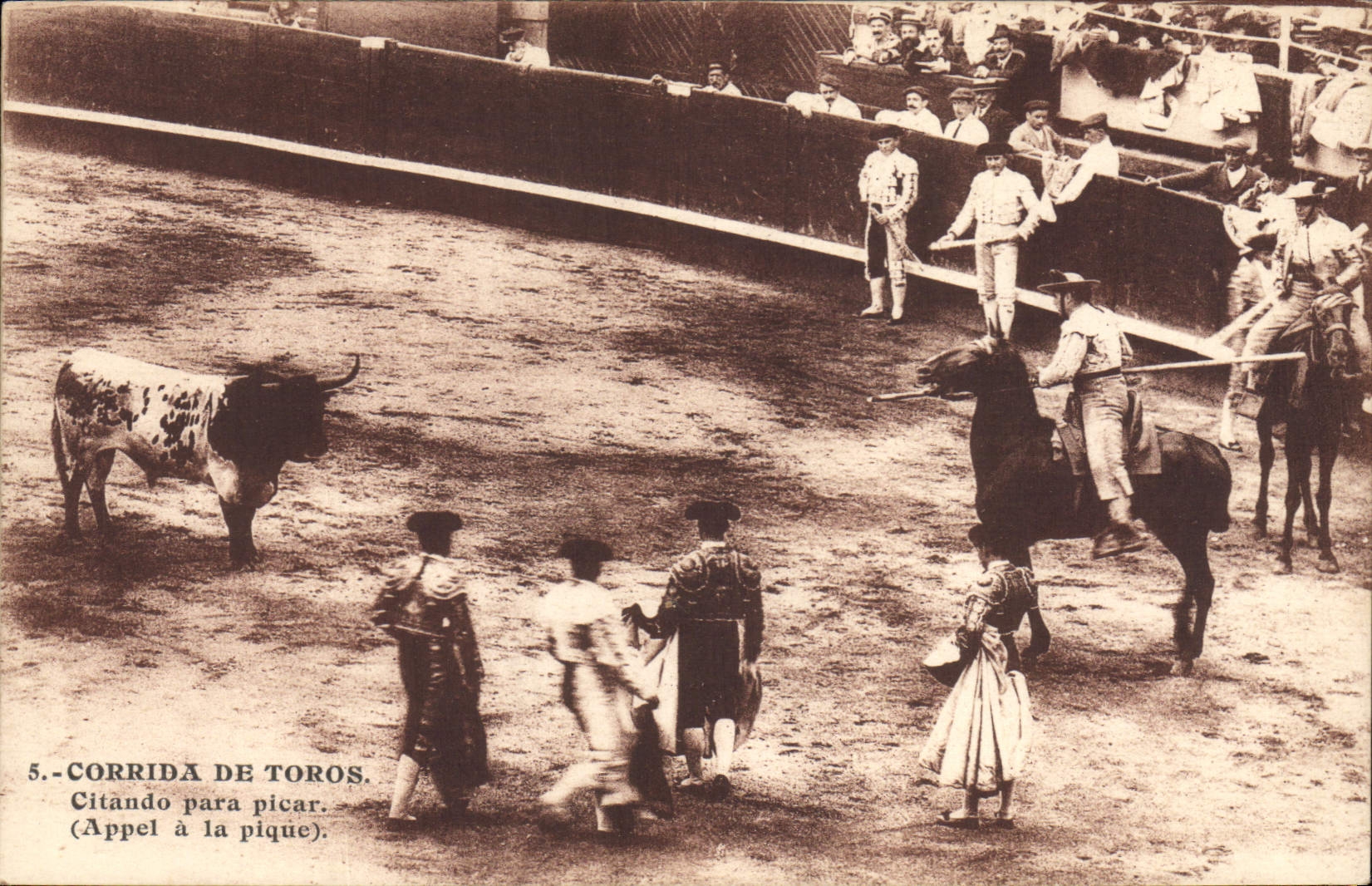 CPA Corrida Course de taureaux Citando para picar Appel a la pique