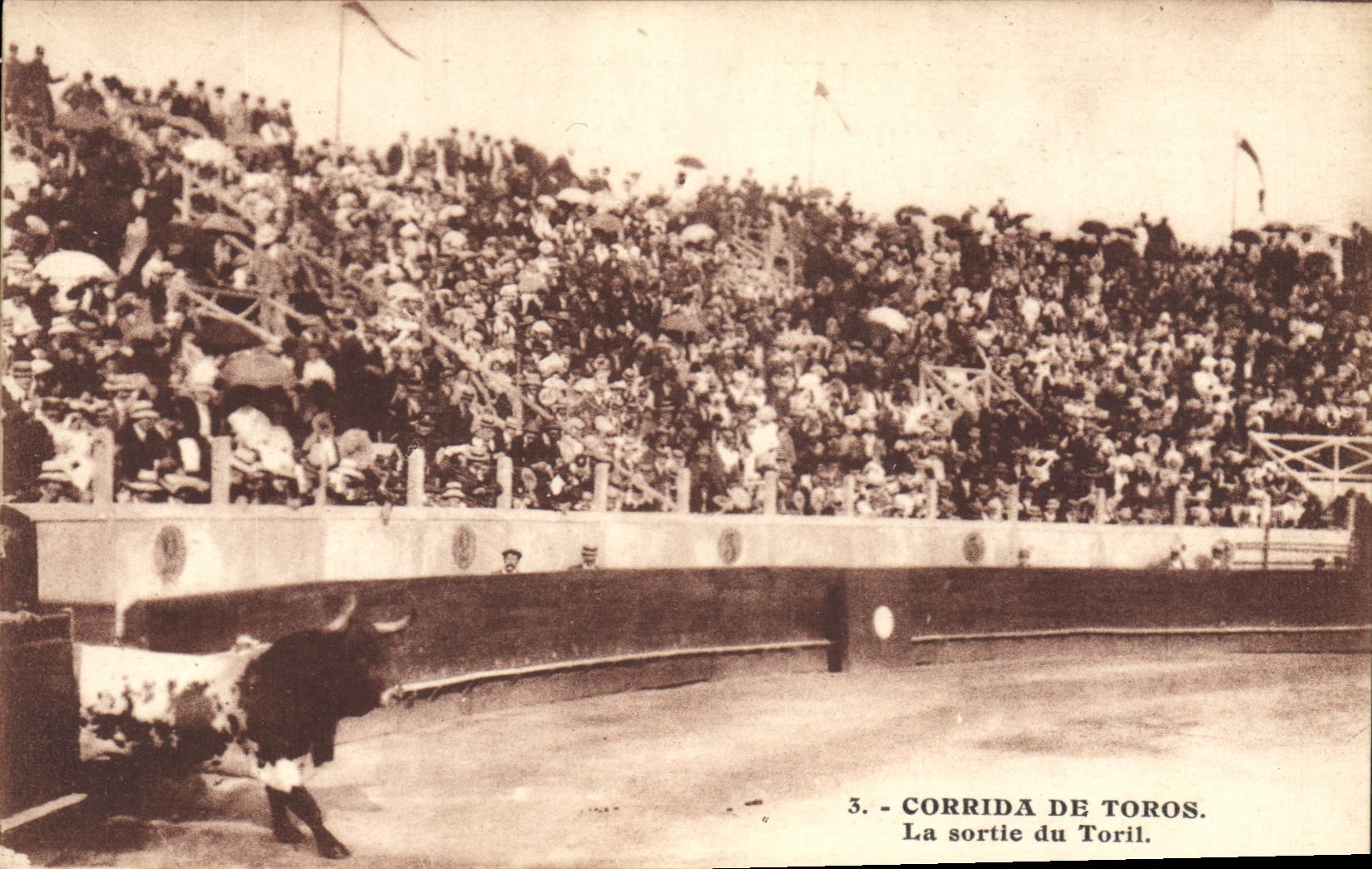 CPA Corrida Course de taureaux La sortie du Toril