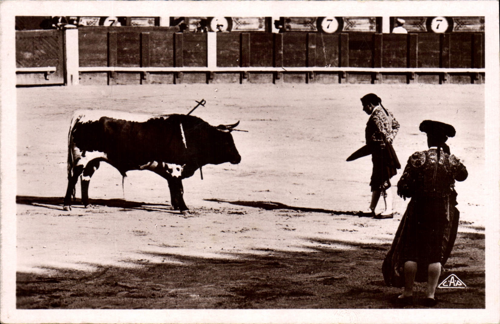 CPA Corrida Course de taureaux Apres l'estocade 
