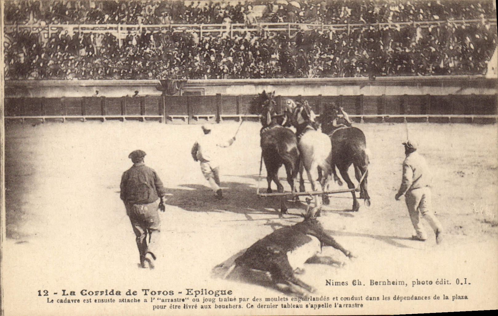 CPA Corrida Course de taureaux Epilogue El Arrastre