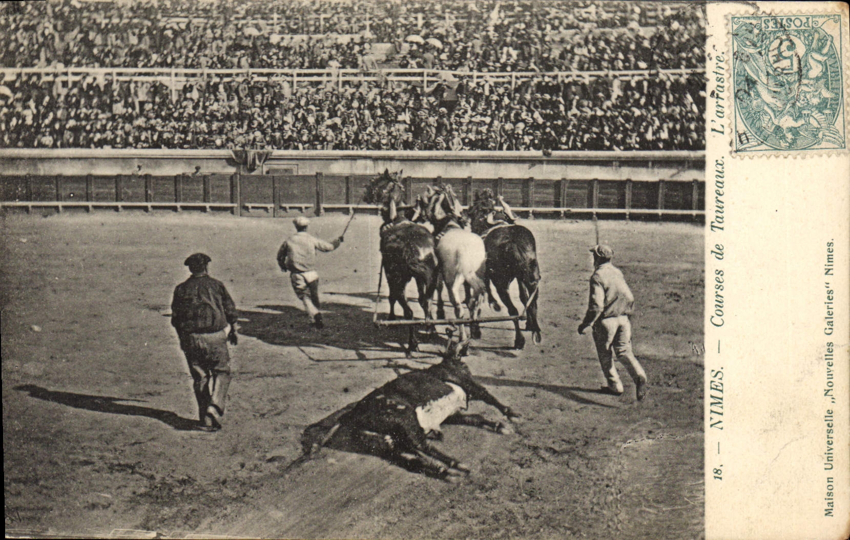 CPA Corrida Course de taureaux Nimes L'arrastre