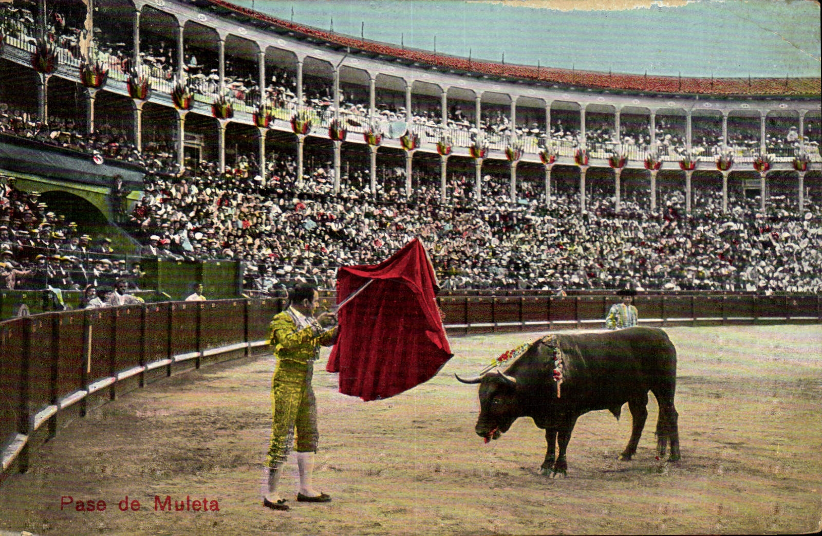 CPA Corrida Course de taureaux Pase de muleta