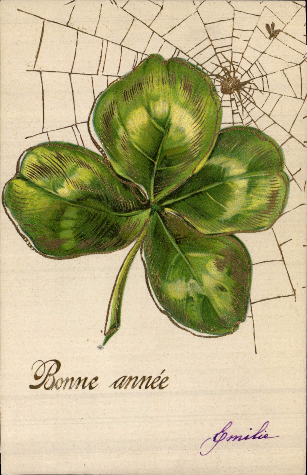 Vintage Postcard Fantasy Flowers Cobweb