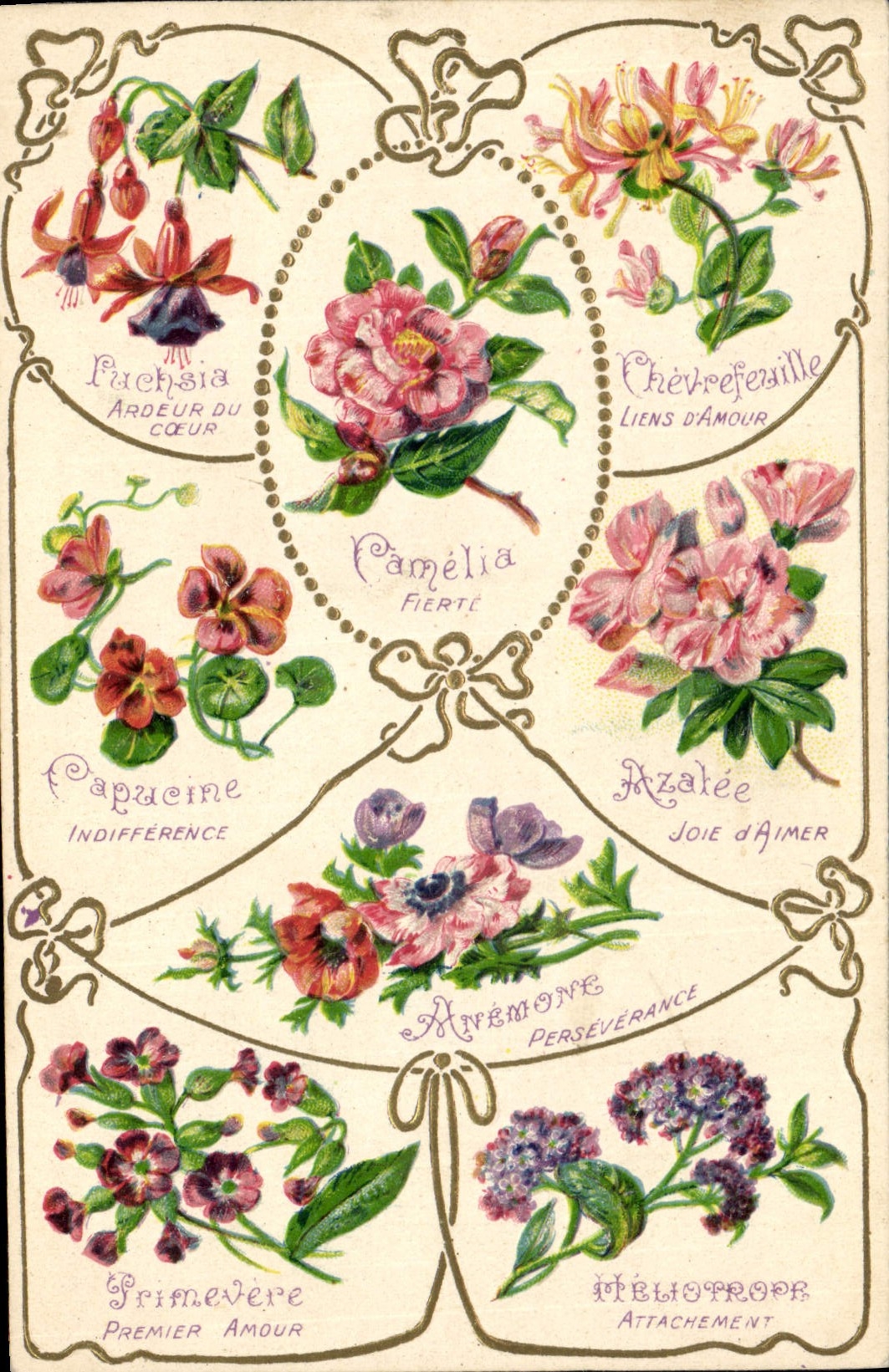 Vintage Postcard Fantasy the language of