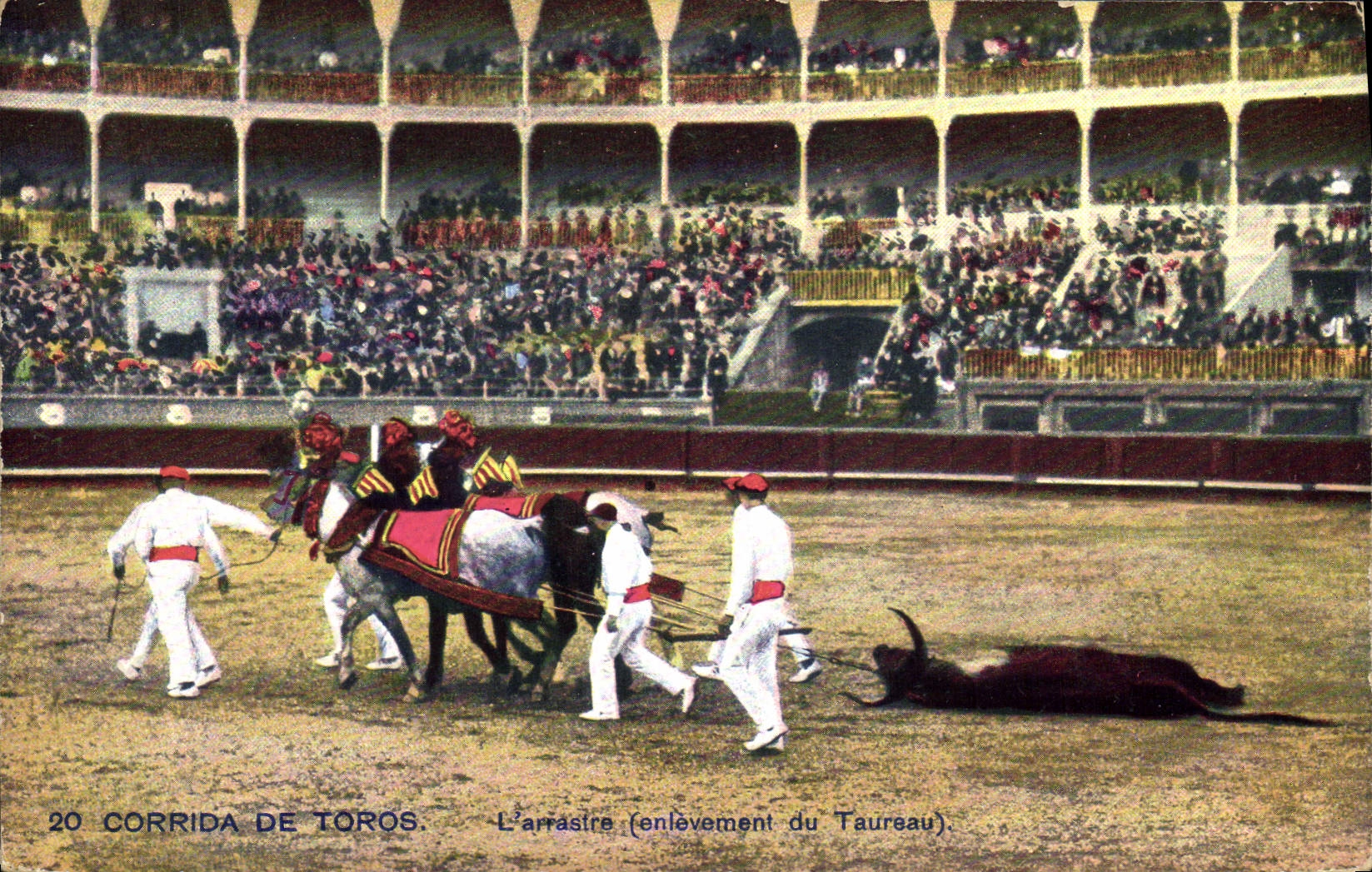 CPA Corrida Course de Taureaux L'arrastre Enlevement du taureau