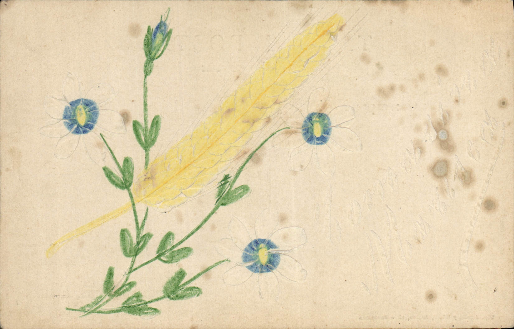 CPA Fantaisie Fleurs 