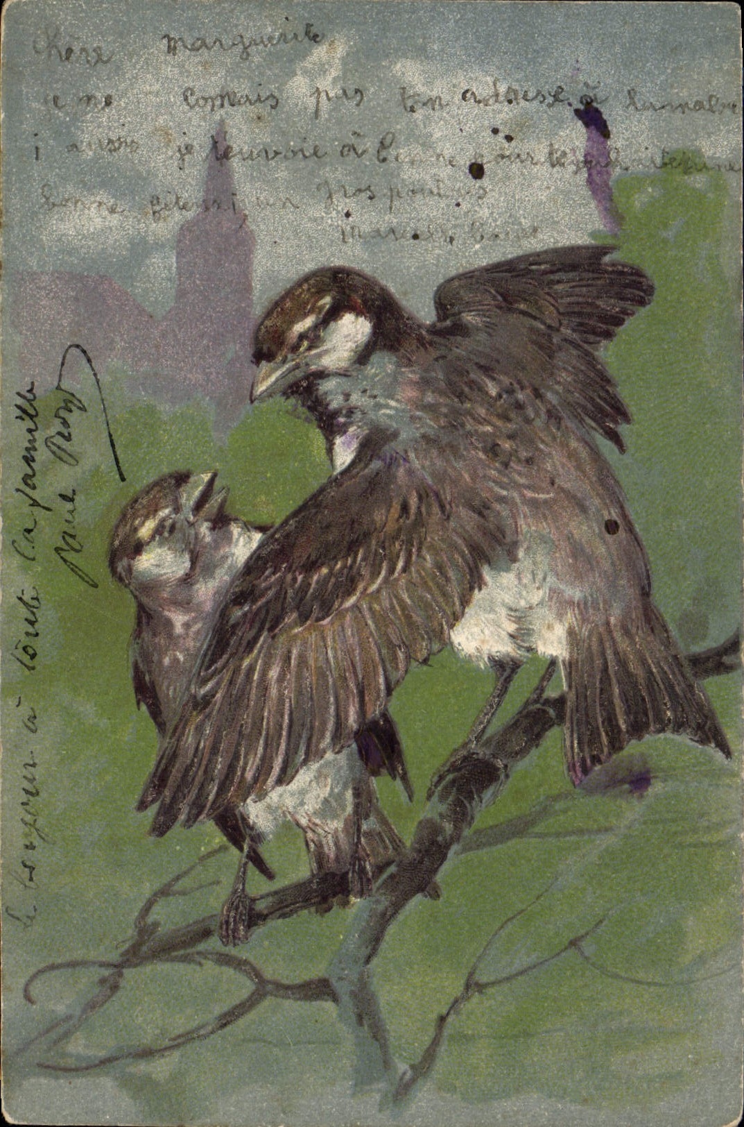 Vintage Postcard Fantasy Birds