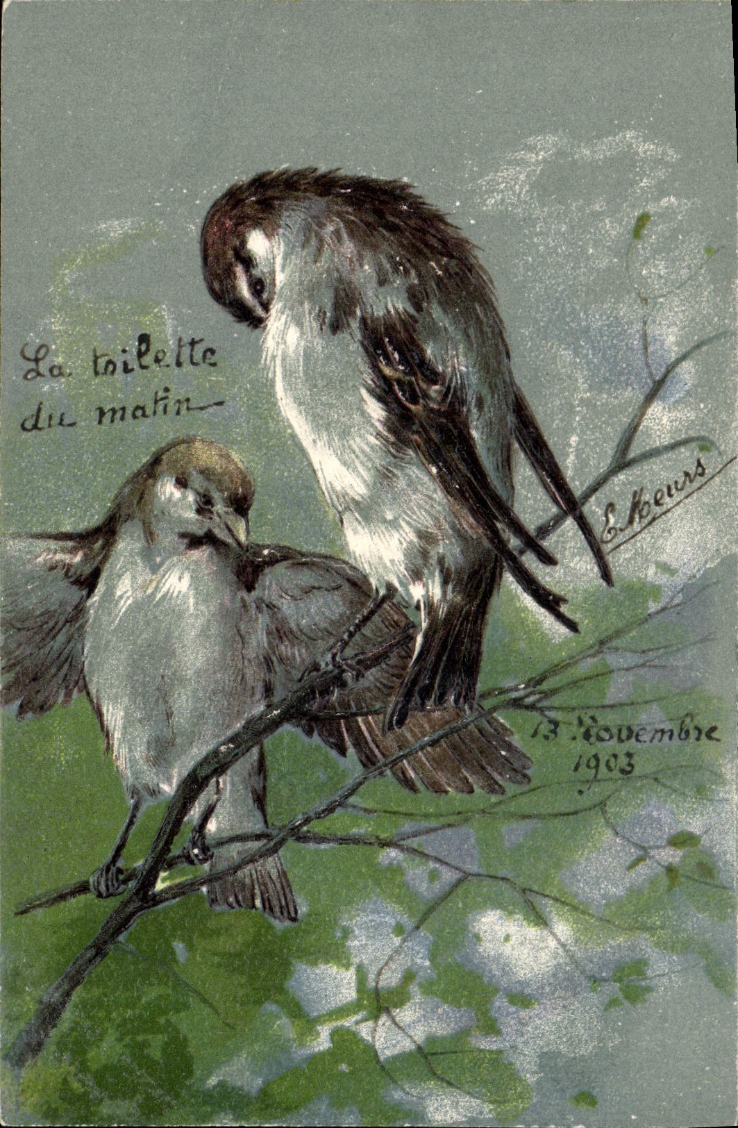 CPA Fantaisie Oiseaux 