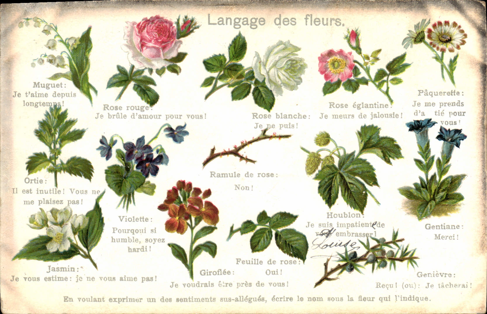 CPA Fantaisie Le langage des fleurs