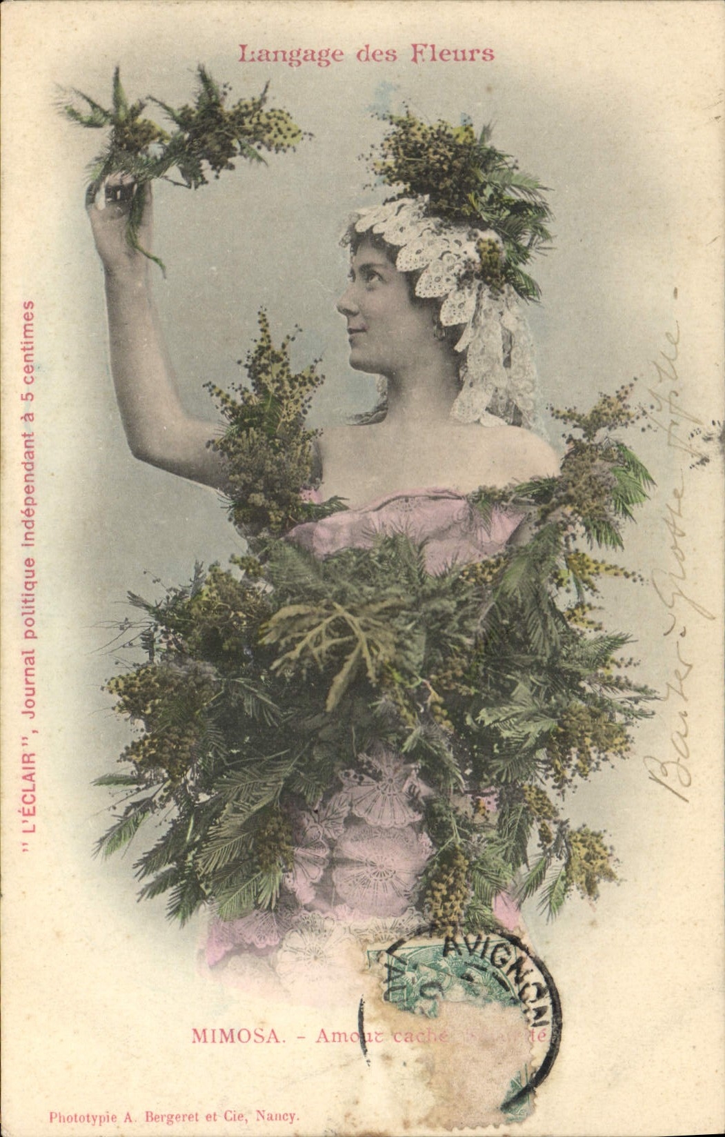 Vintage Postcard Fantasy the language of the flowers Mimosa