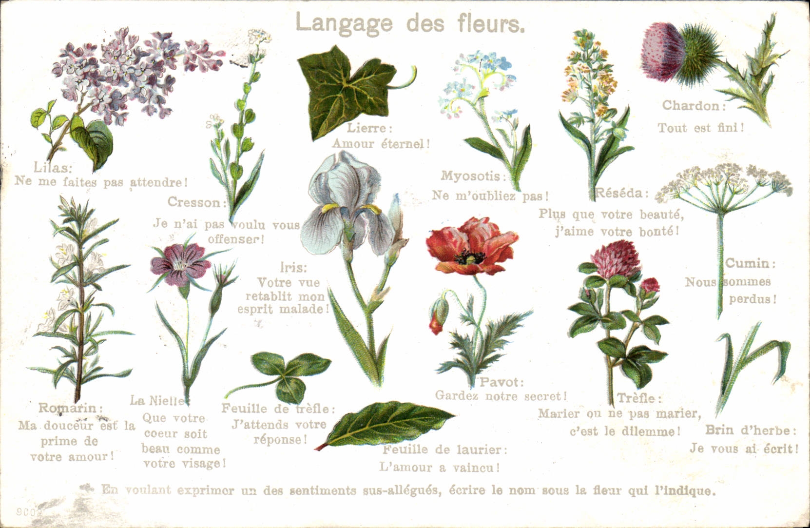 CPA Fantaisie Le langage des fleurs