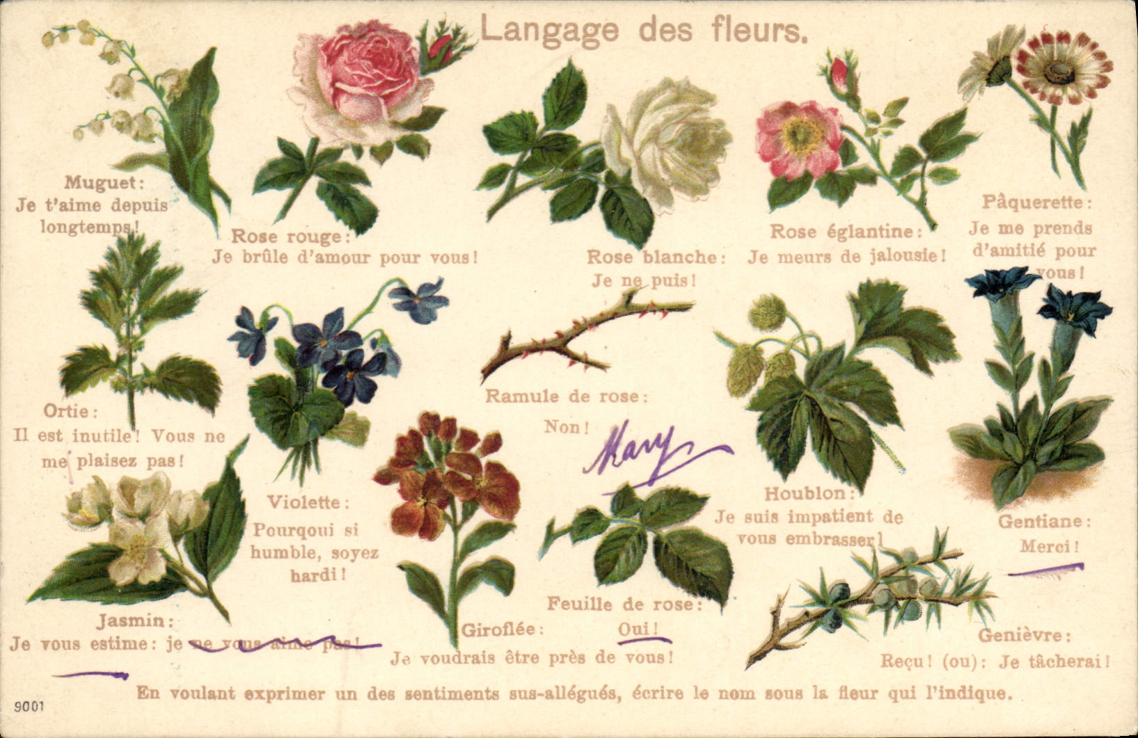 CPA Fantaisie Le langage des fleurs