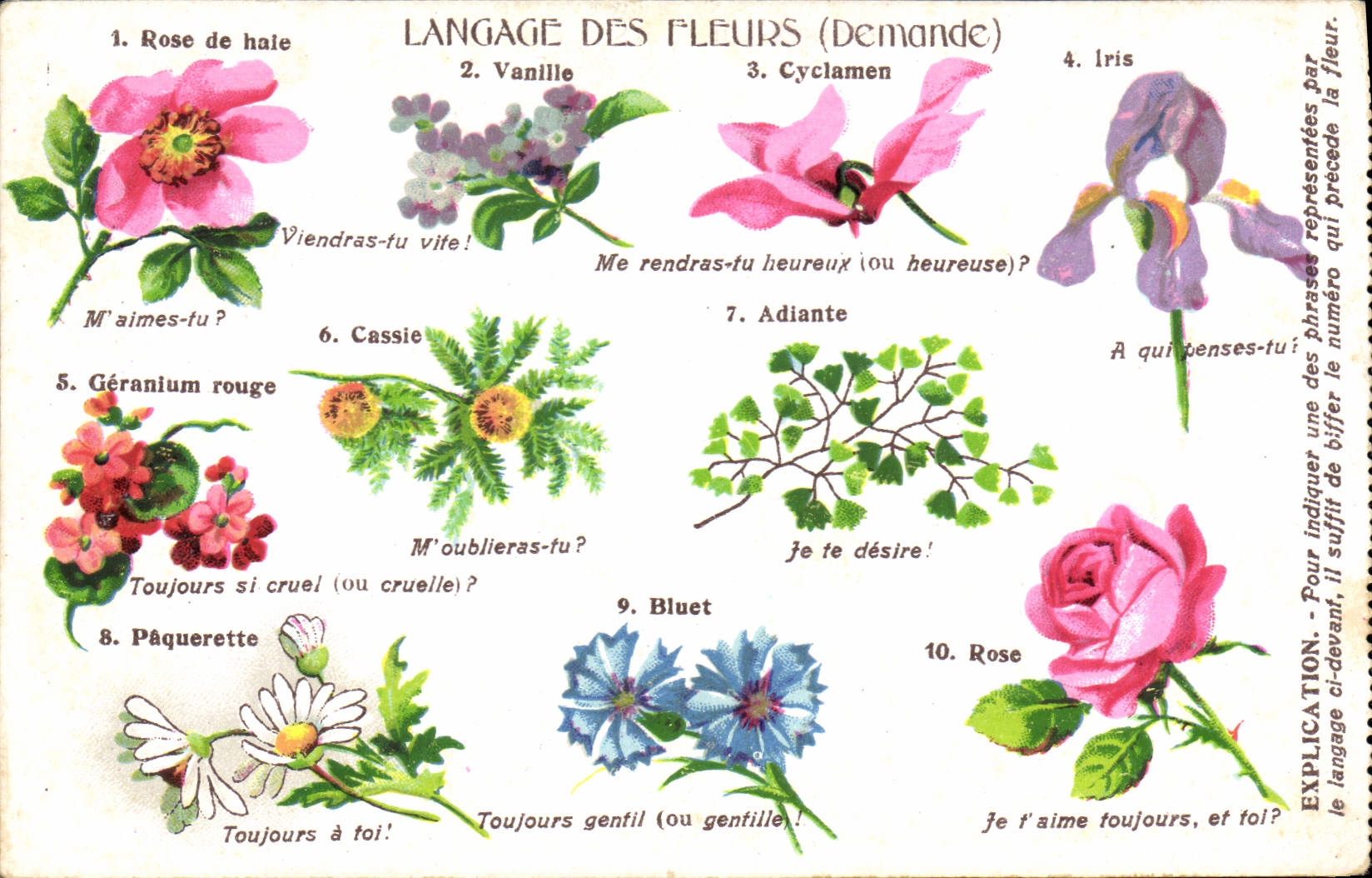 CPA Fantaisie Le langage des fleurs