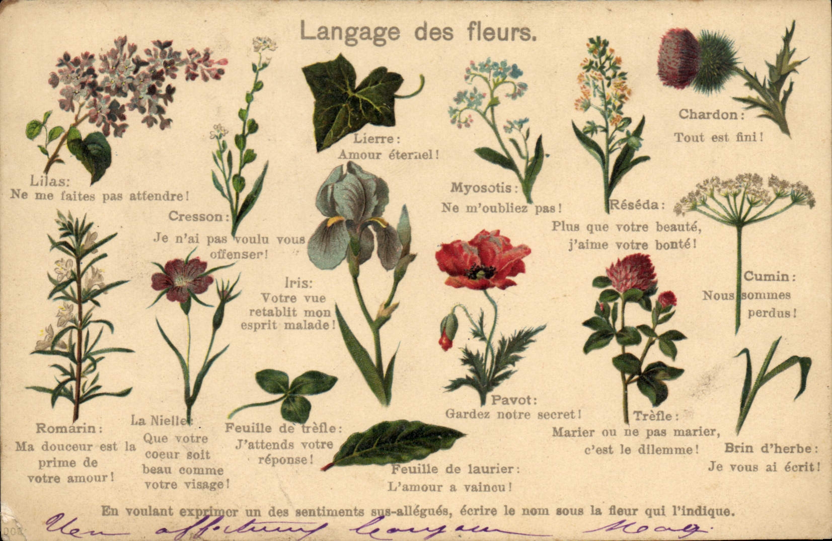 CPA Fantaisie Le langage des Fleurs