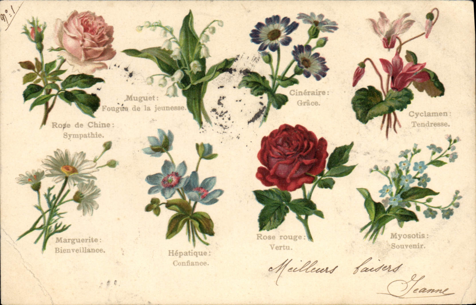 CPA Fantaisie Le langage des Fleurs
