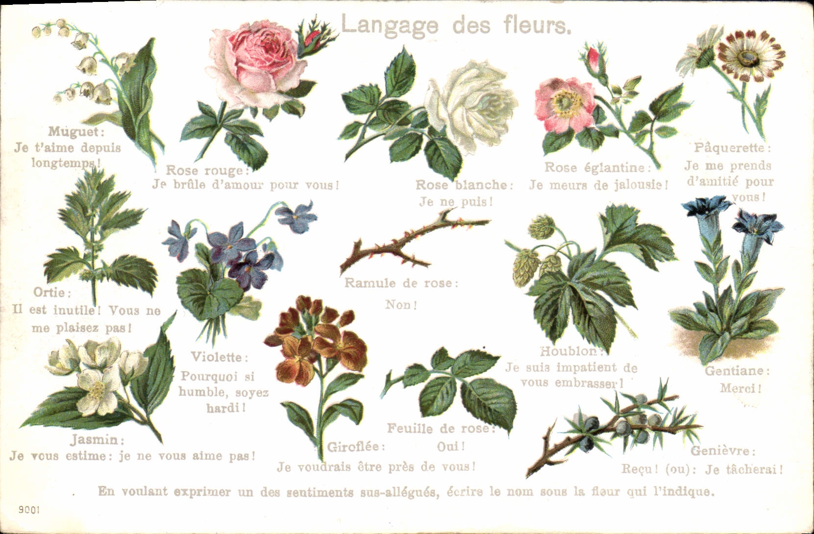 CPA Fantaisie Le langage des Fleurs