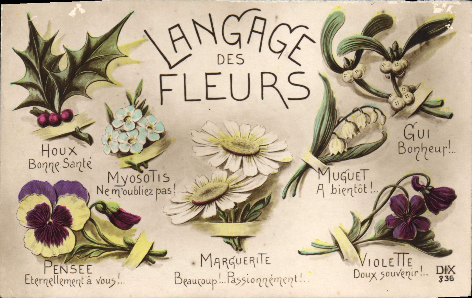 CPA Fantaisie Le langage des Fleurs