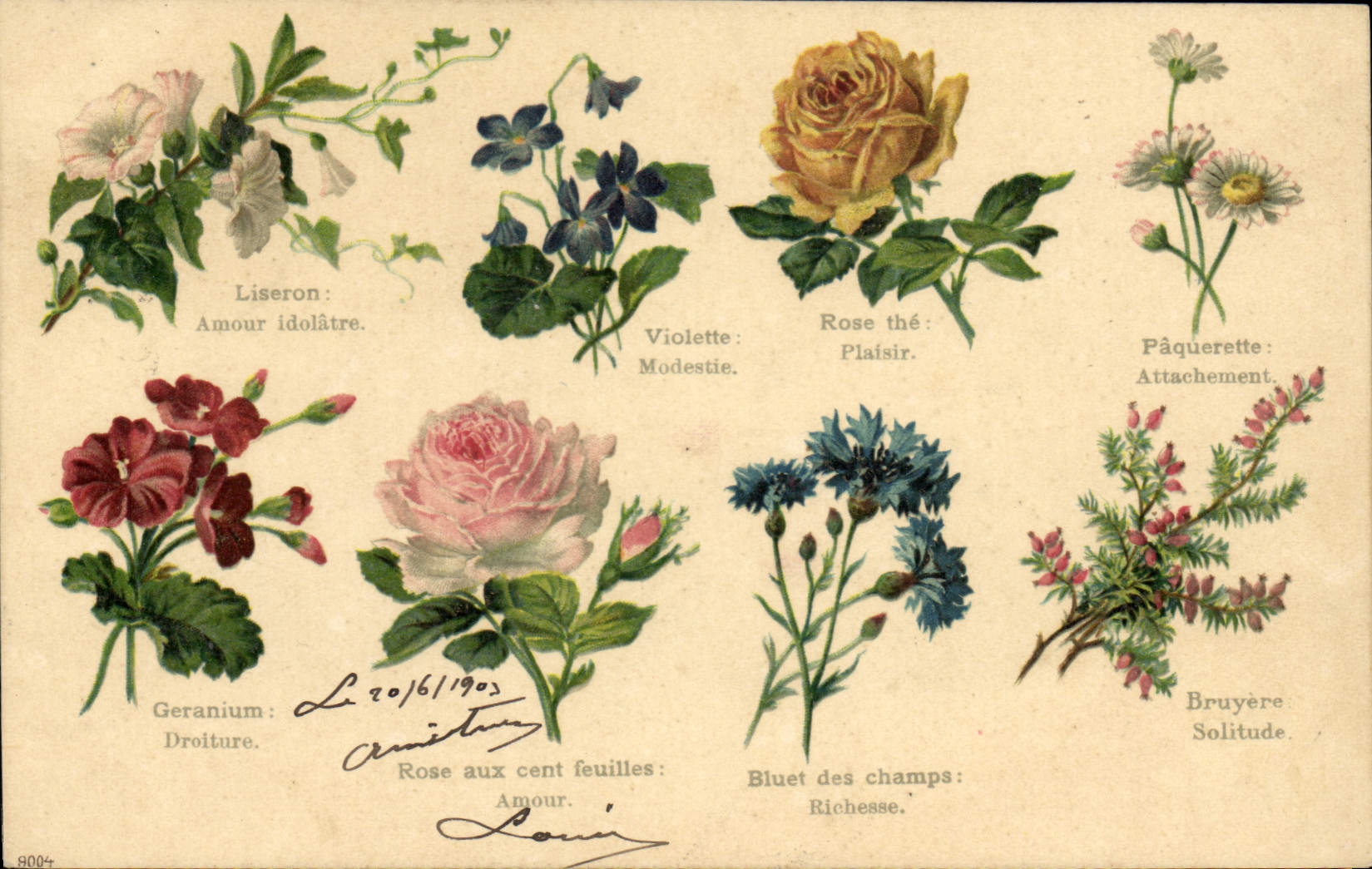 CPA Fantaisie Le langage des Fleurs