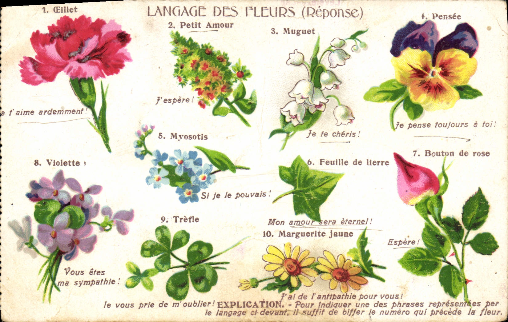 CPA Fantaisie Le langage des Fleurs