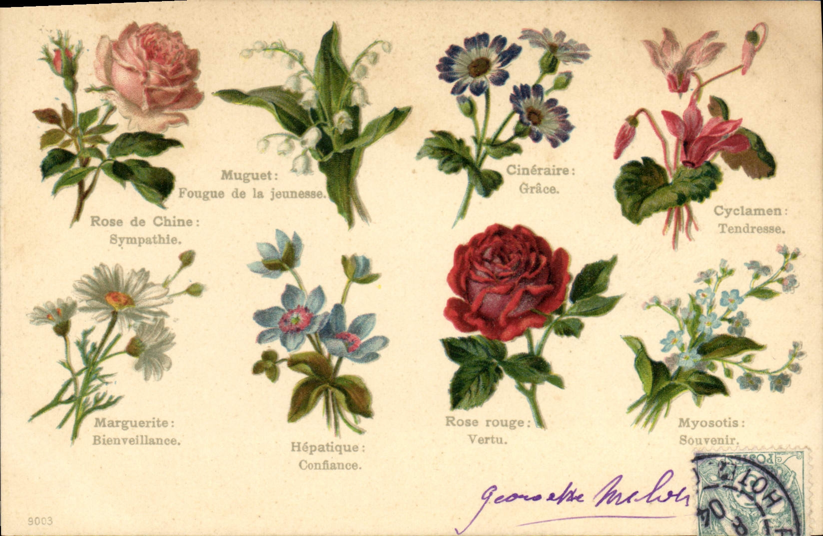 CPA Fantaisie Le langage des Fleurs