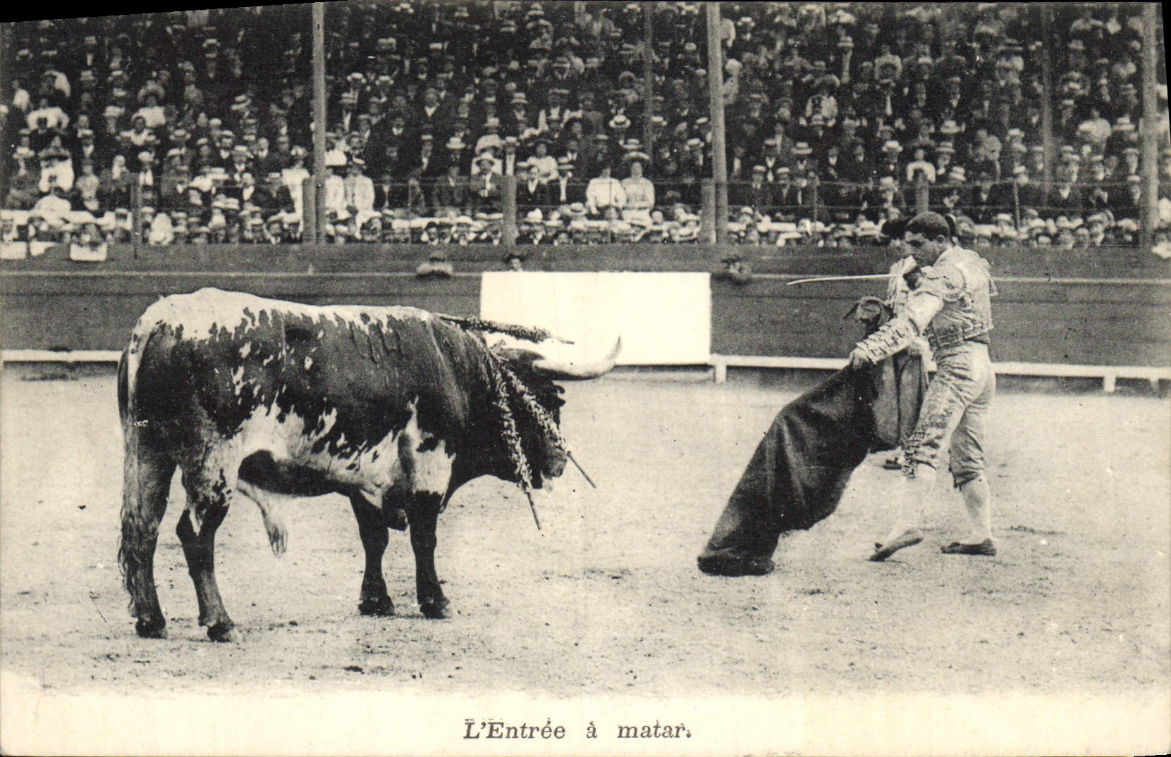 Postal Corrida Corrida de toros lo entrado a Matar