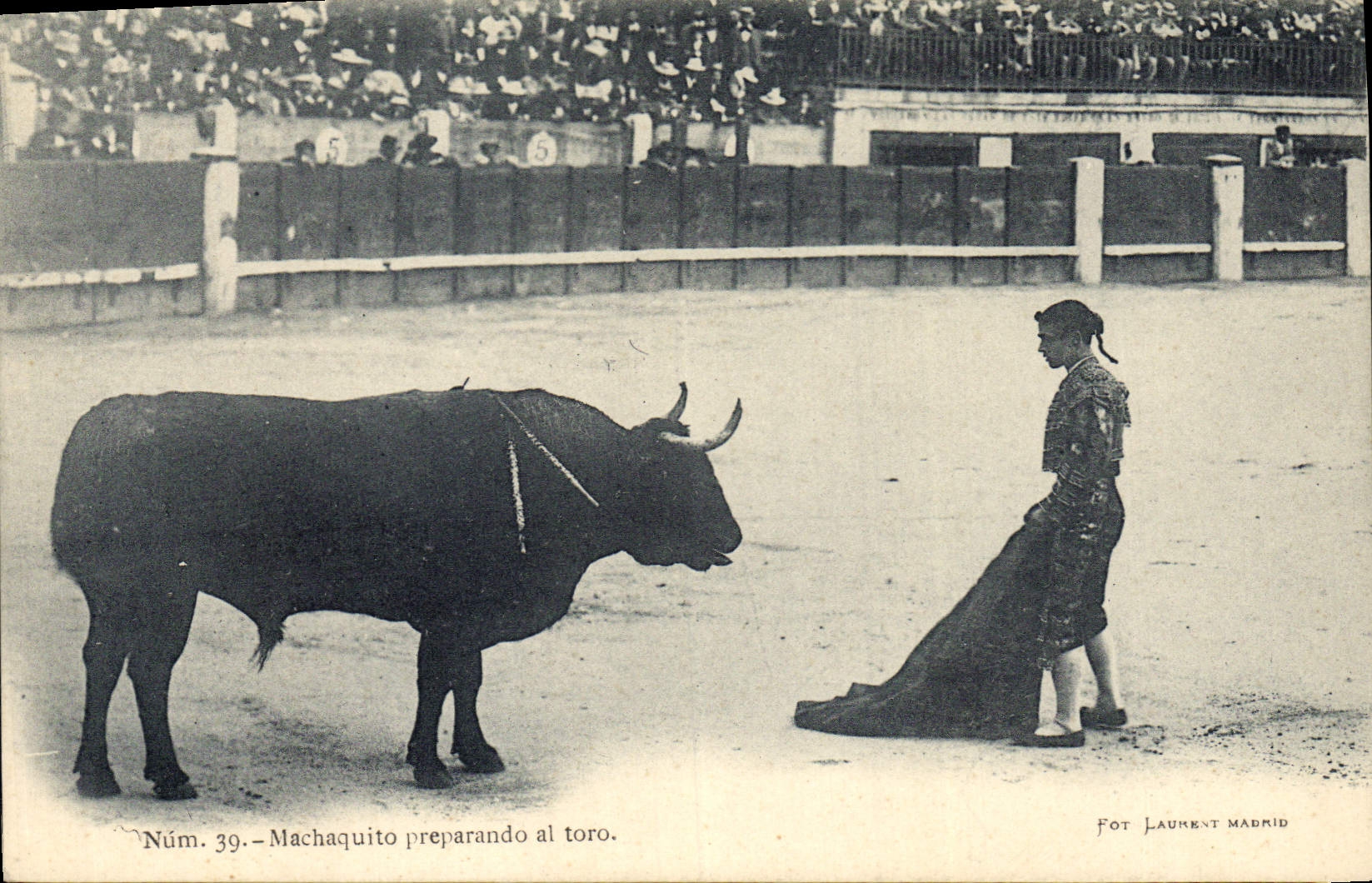 Postal Corrida Corrida de toros Machaquit preparando AL Toro