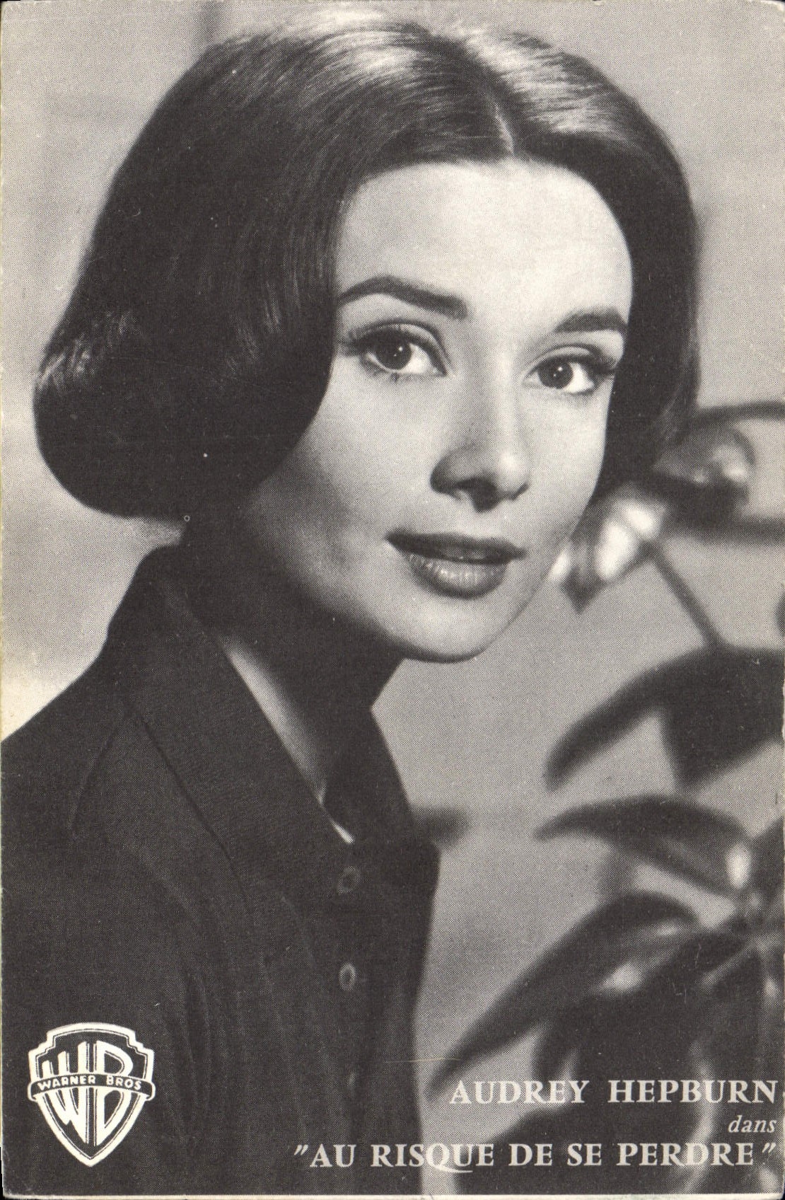 Modern Postcard Cinema Audrey Hepburn