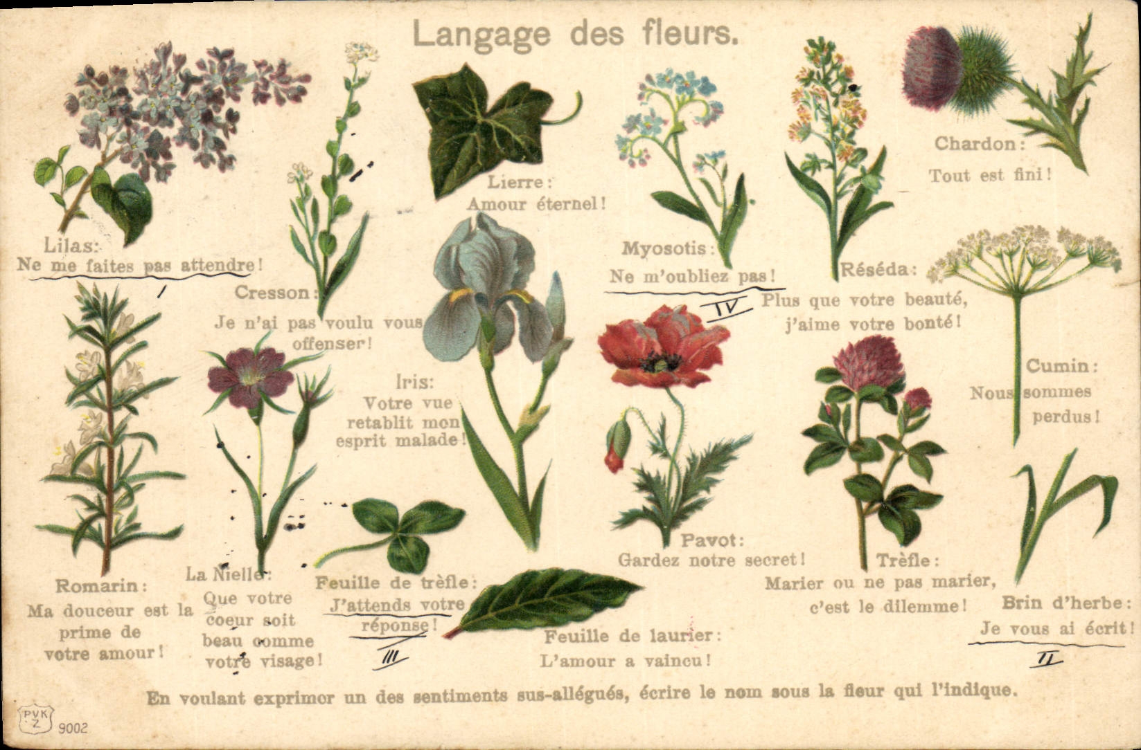 CPA Fantaisie Langage des Fleurs 