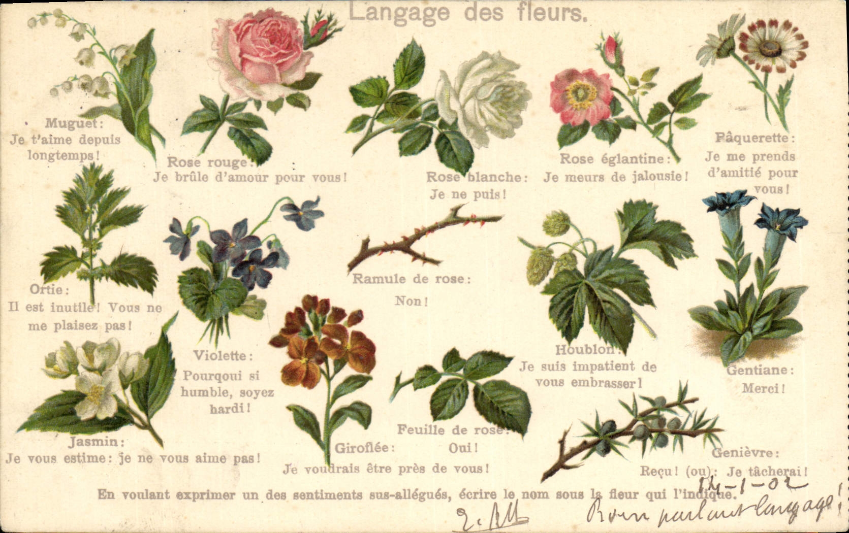 CPA Fantaisie Langage des Fleurs 